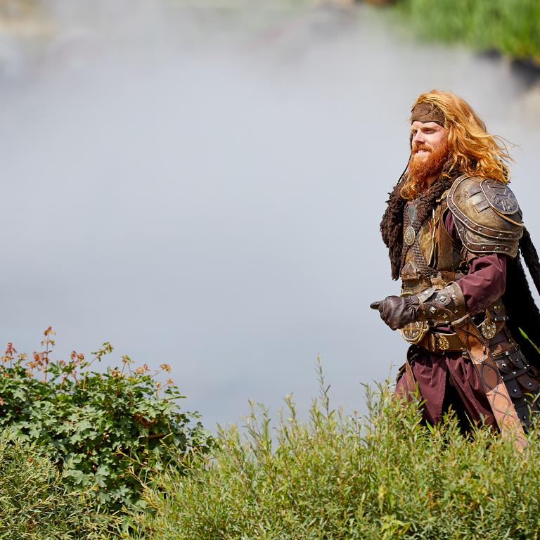 Les 10 raisons d’épouser un Viking 