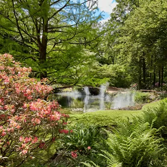 Nature au Puy du Fou
