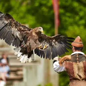 Oiseau du Bal des Oiseaux Fantômes au Puy du Fou