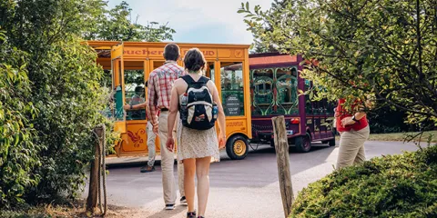 La colporteuse du Puy du Fou